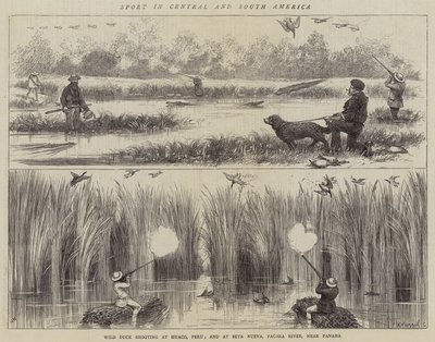 Sport in Central and South America by Joseph Nash